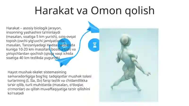 Harakat inson faoliyatining biological sifatida 4