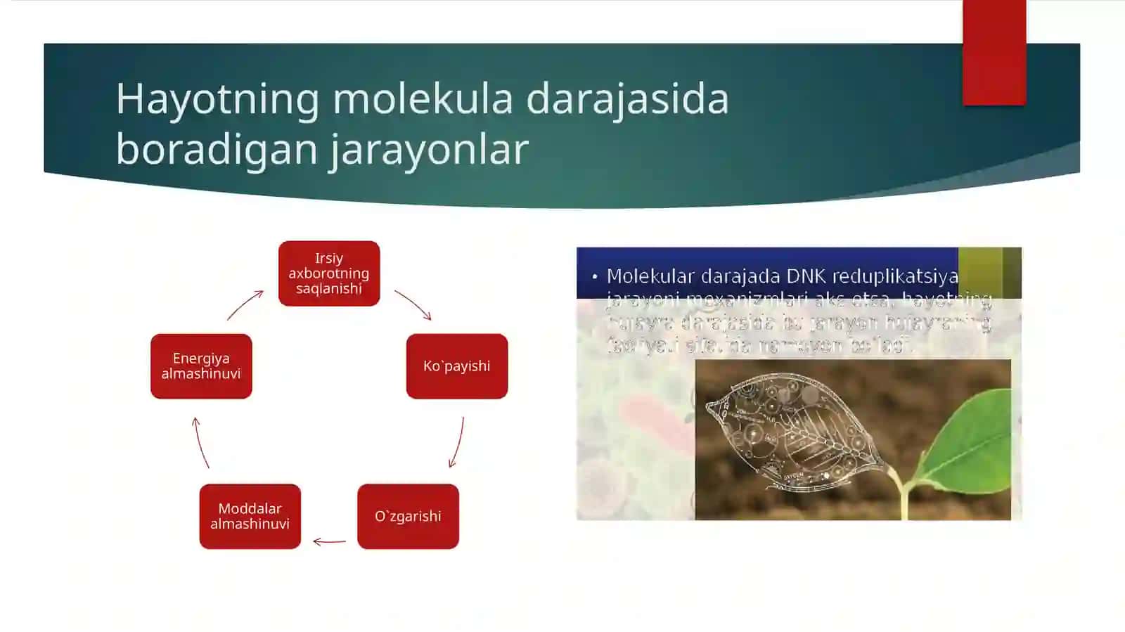 Tiriklikning tuzilish darajalari 4