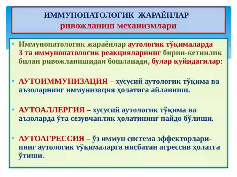 ИММУНОГЕНЕЗНИНГ СХЕМАТИК ТАСВИРИ 4