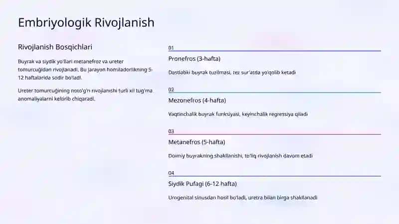 Buyrak va Siydik Yo'llarining Tug'ma Anomaliyalari 4