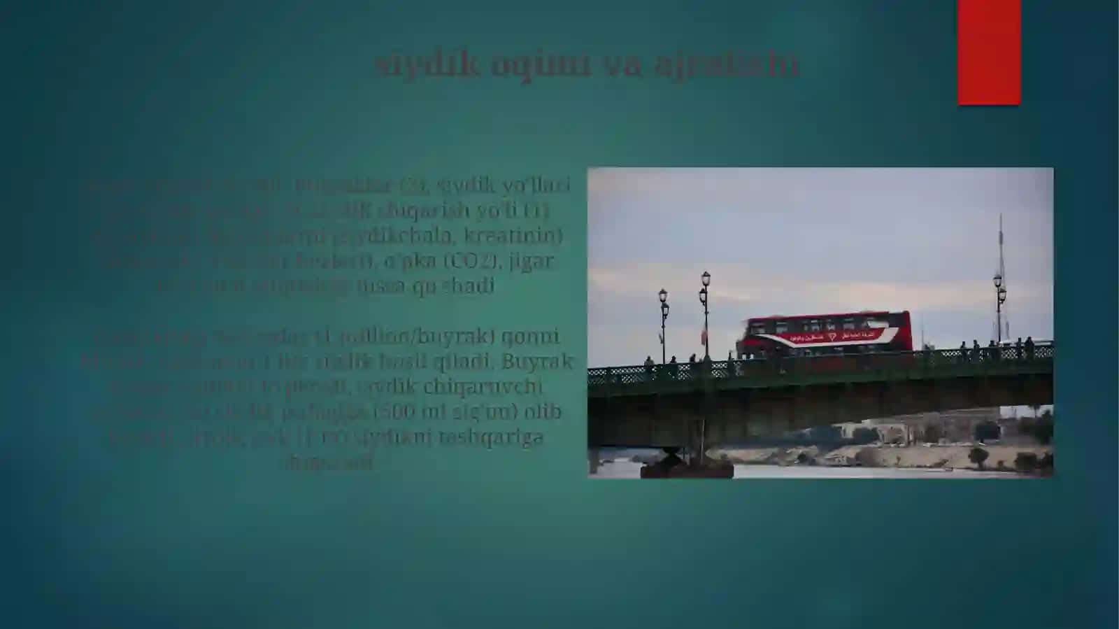 Inson Ayirish Sistemasi 4