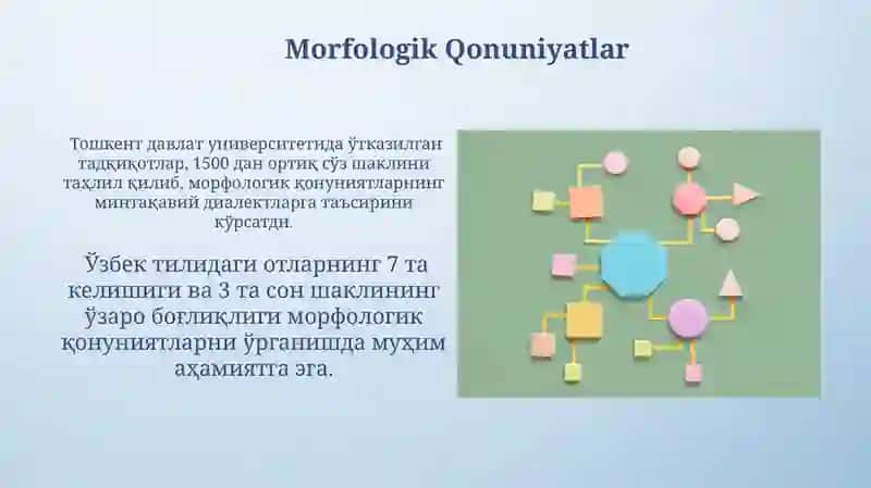 Morfologik Analizatorlar 4