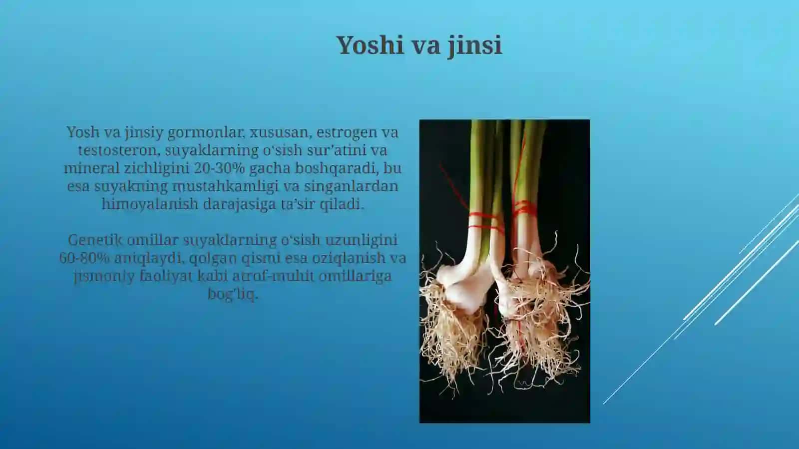 Suyaklarning oʻsishi va taʼsir 4