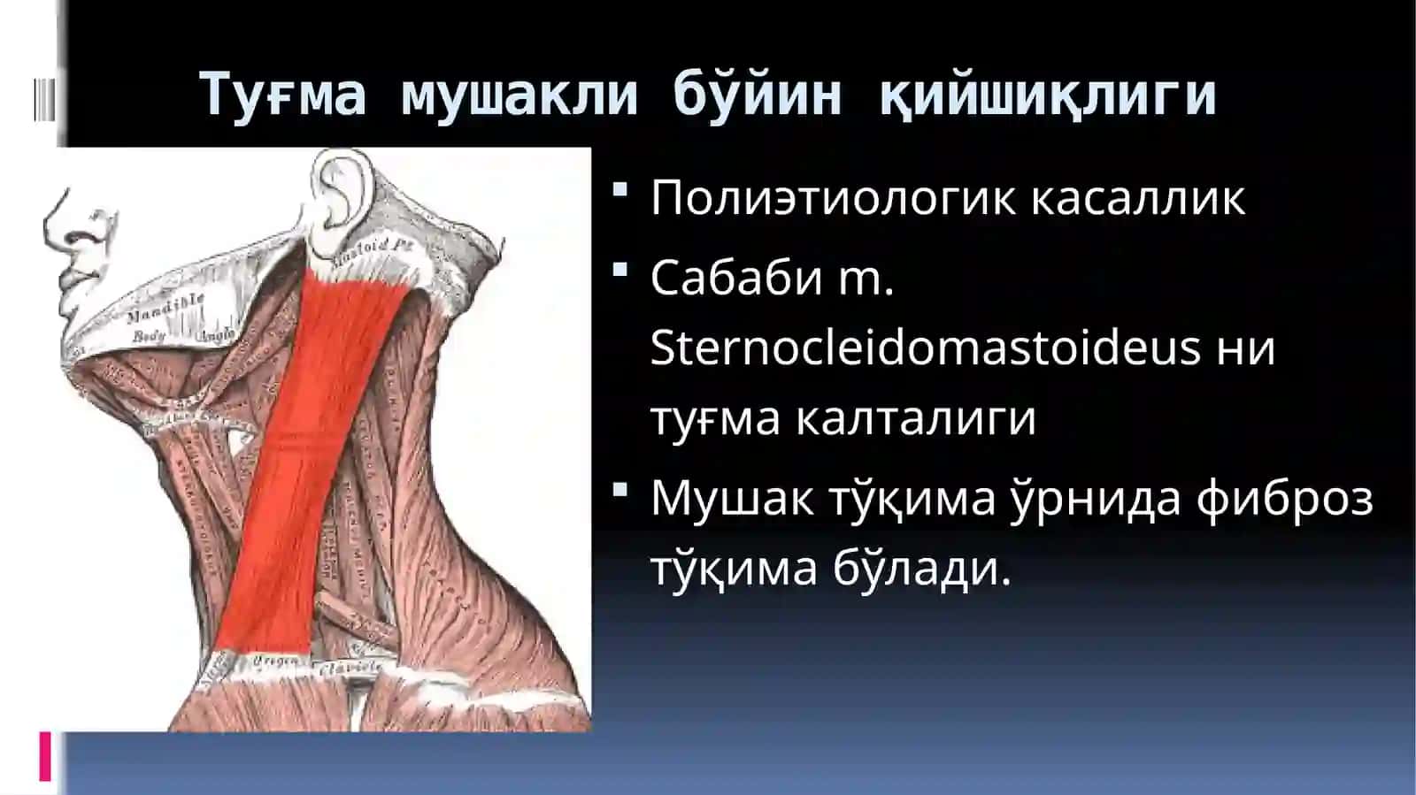 ТУҒМА БЎЙИНҚИЙШИҚЛИГИ 4