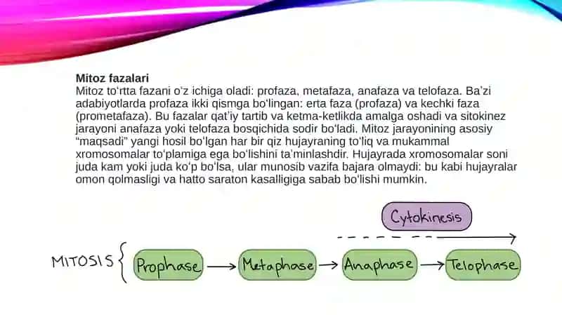 Mitoz buzilishlari 4