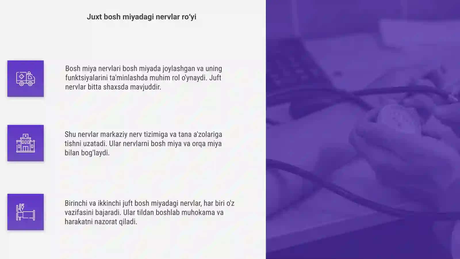 Juxt bosh miya nervi 4