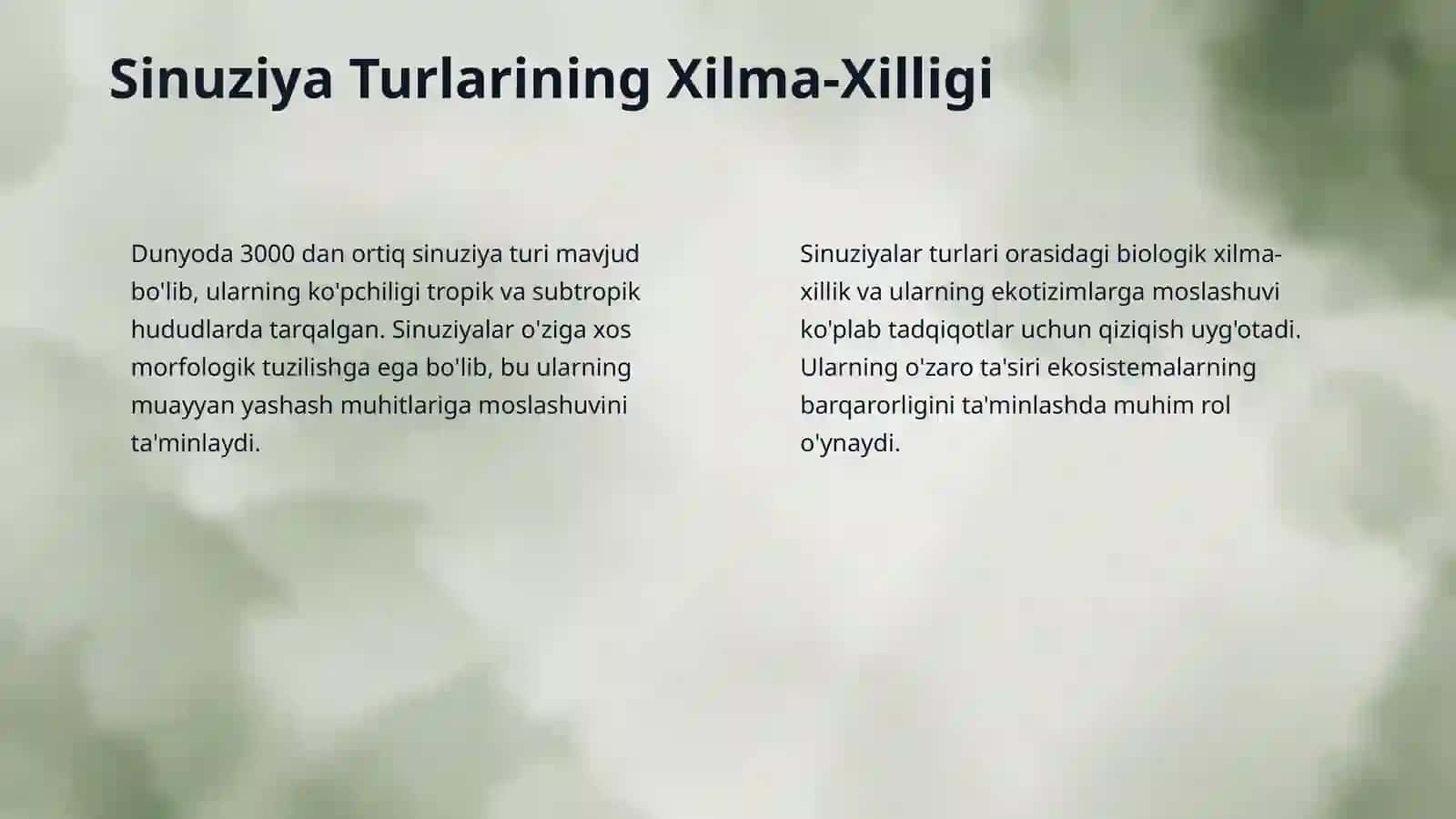 Sinuziyalar va ularning xilma-xilligi 4