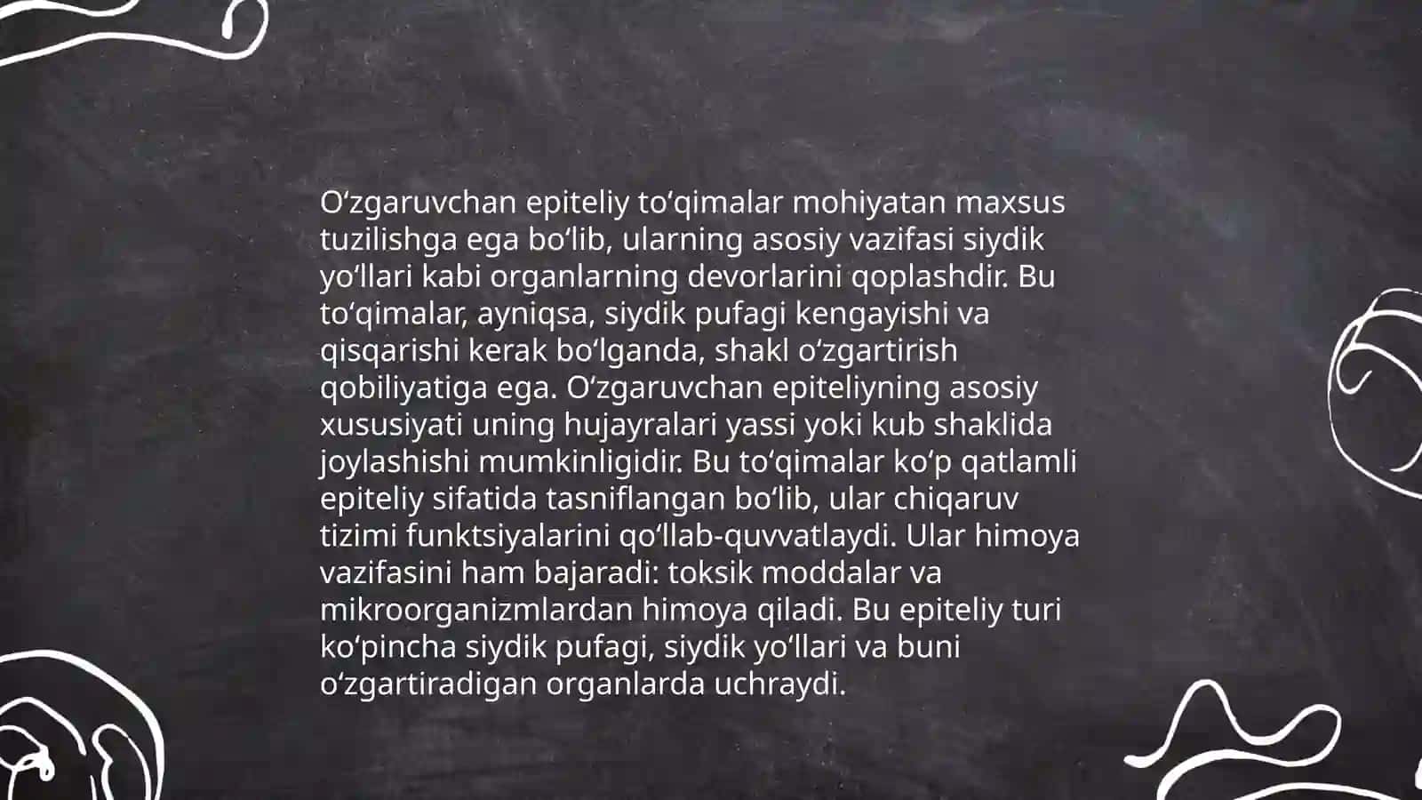 Epiteliy toʻqimalarning tuzilishi 4