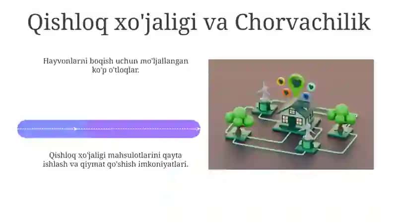 Quva tumanida resurs salohiyati va imkoniyatlari 4