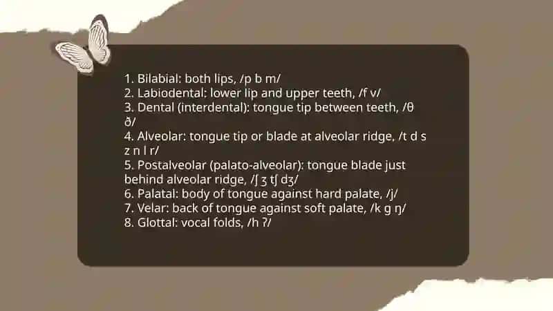 The Consonant System of English 4