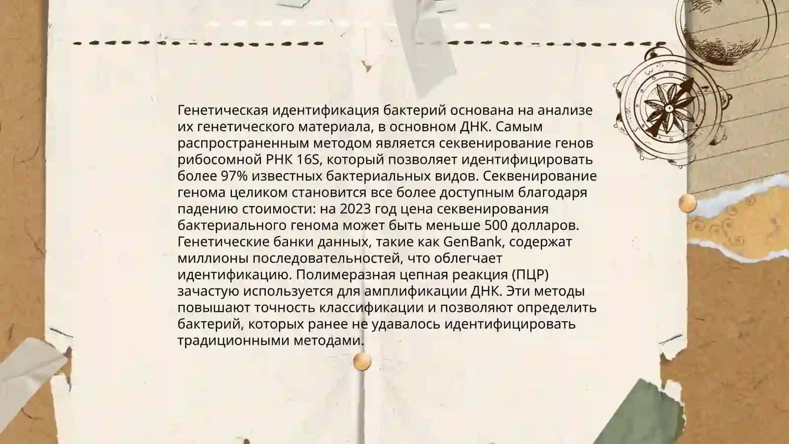 Определение вида бактерий 4