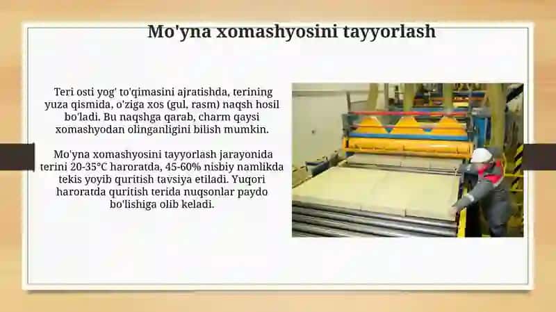Mo'yna 4