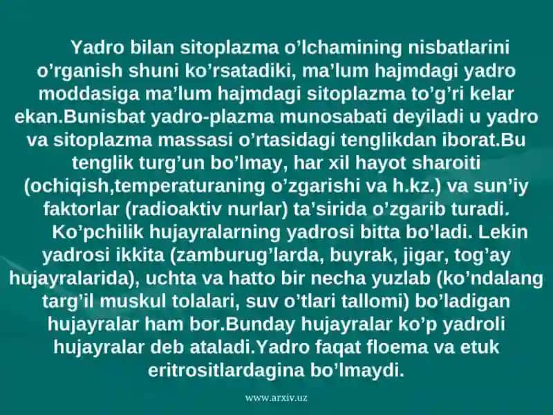 Hujayra yadrosi. Yadrocha 4