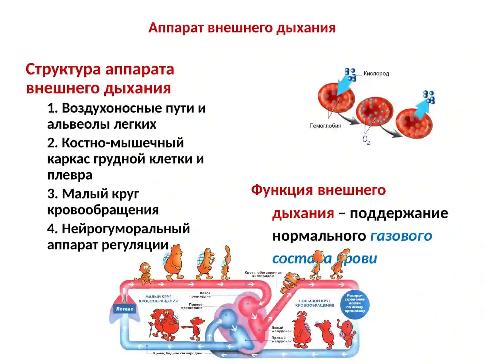 Патофизиология дыхания 4