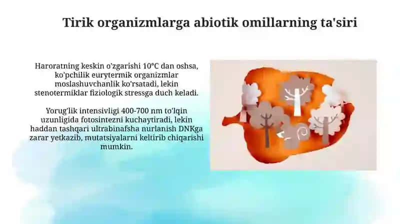 Ekologik omillarning ta'sir mexanizmlari 4