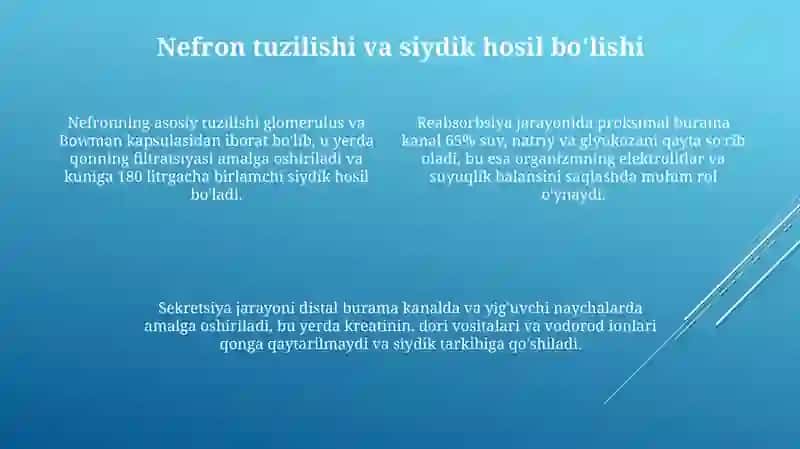 Siydikhosilqilish va ajratish jarayonlari 4