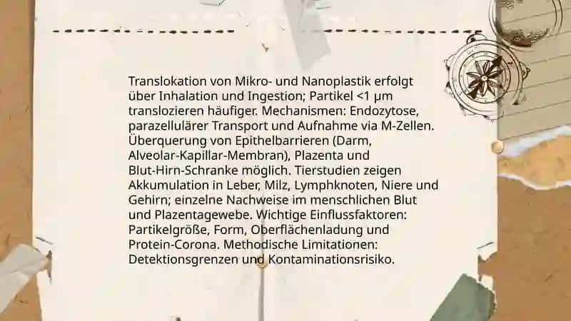 Mikroplastik Gefahr für die Gesundheit 4