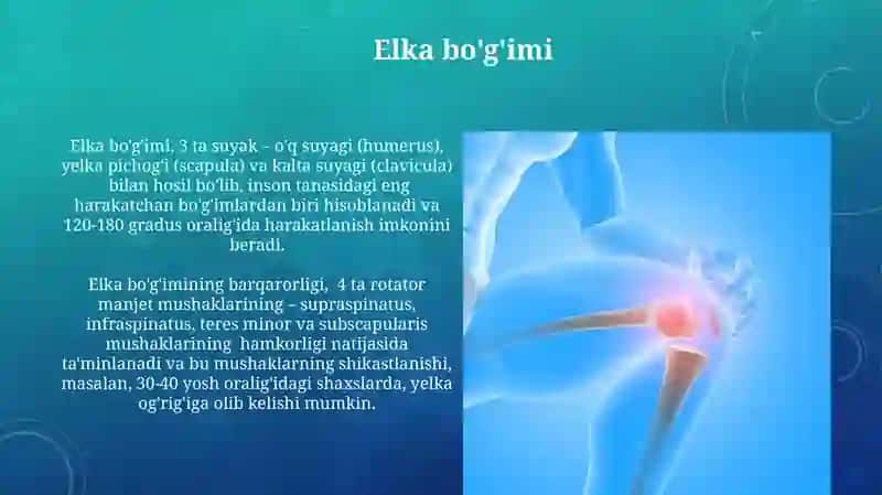 Suyak toʻqimasi 4