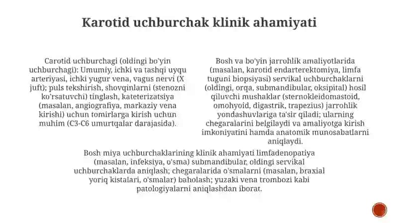 Bo'yin uchburchaklarining klinik ahamiyati 4