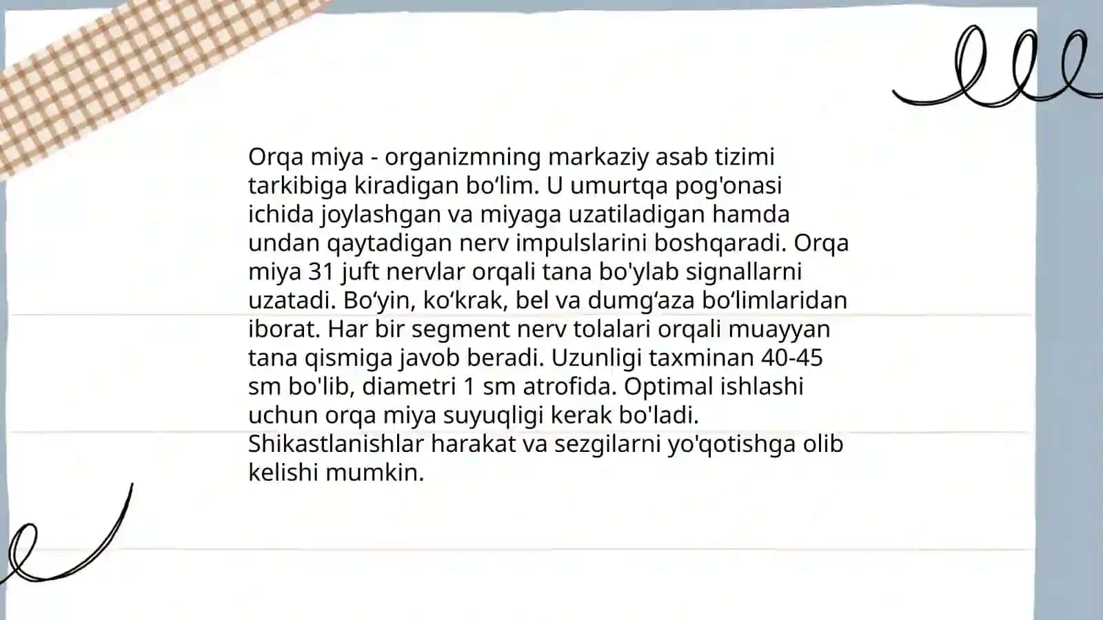 Umurtqa pog'onasi 4
