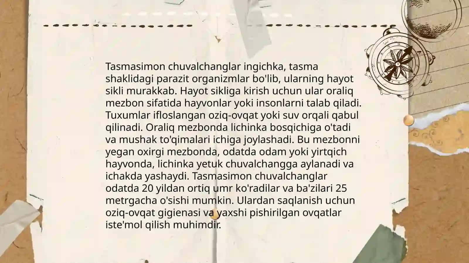 Tasmasimon chuvalchanglar 4