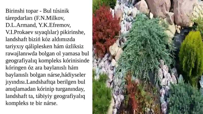 Landshaftaniw pa`ninen prezintatsiya jumisi 4