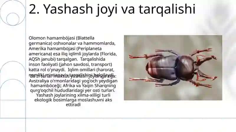 Suvaraklar turkumi (Blattoptera) 4