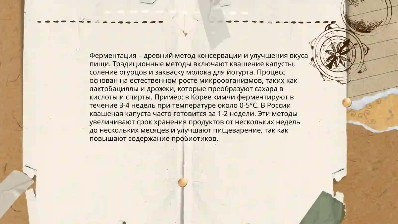 Fermentatsiya jarayonlari va ularning turlari 4