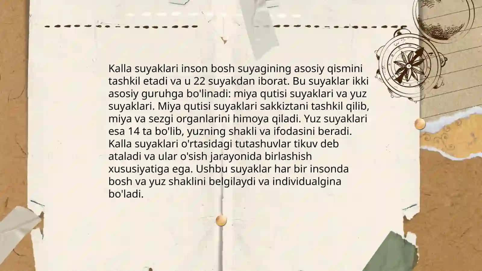 Kalla suyaklari anatomiyasi 4