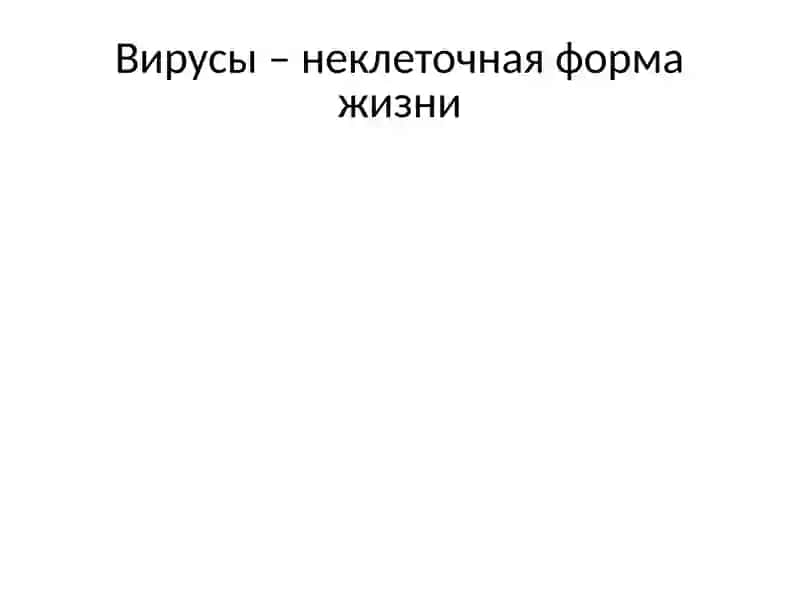 Биология клетки №1 4