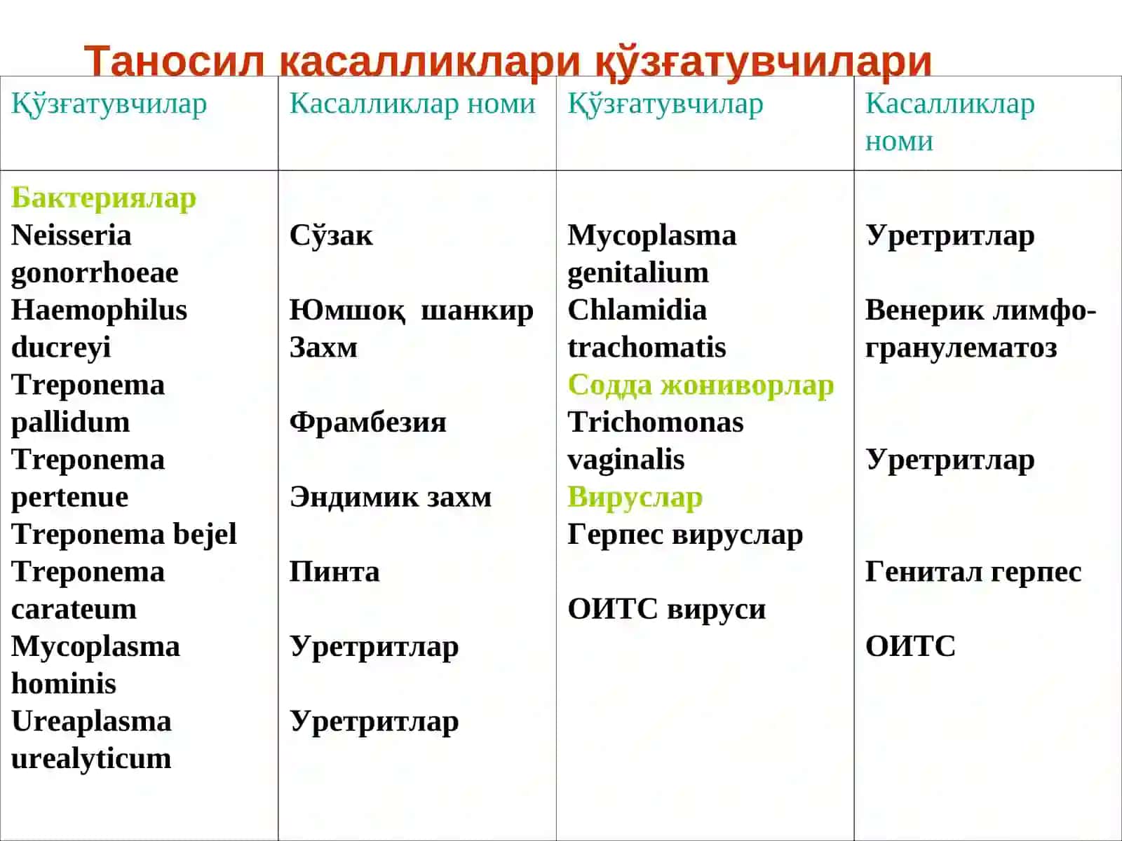 Таносил (Венерик) касалликлариқўзғатувчиларига умумий характеристика 4