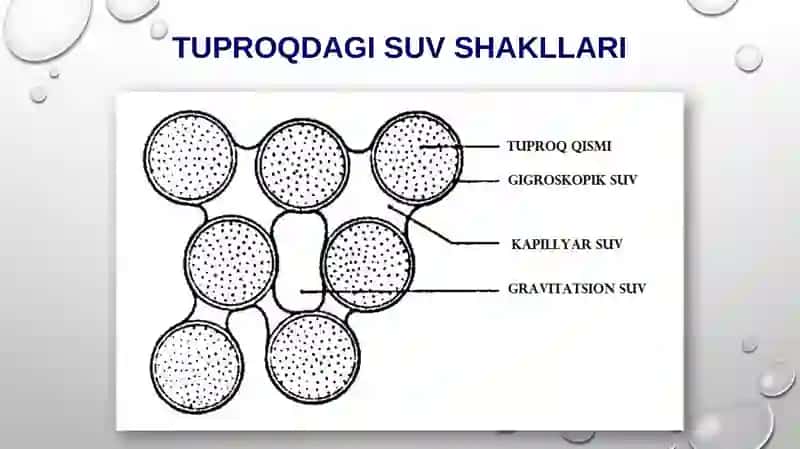 Tuproqning suv xossalari va suv rejimi 4
