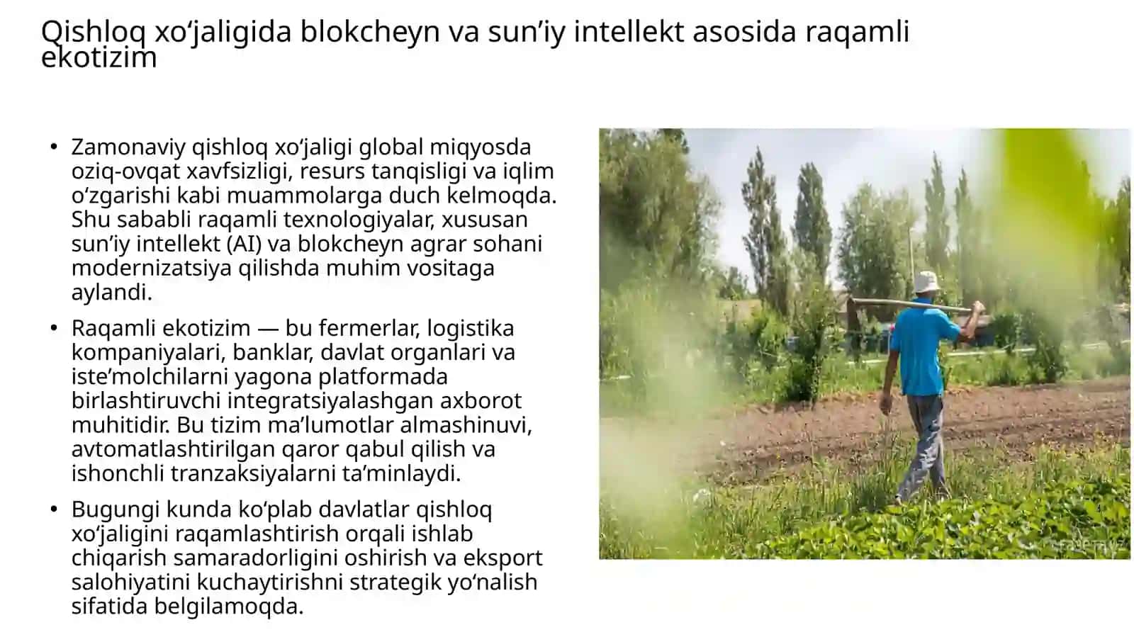 Startup Loyiha: “BARAKA NETWORK” 4
