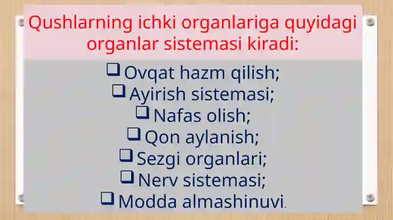Qushlarning ichki tuzilishi 4