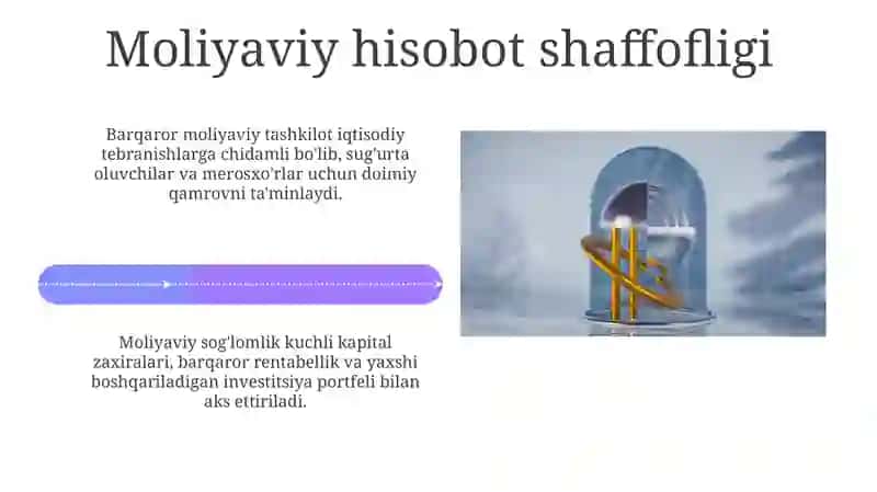 Kapital Yetarliligi 4