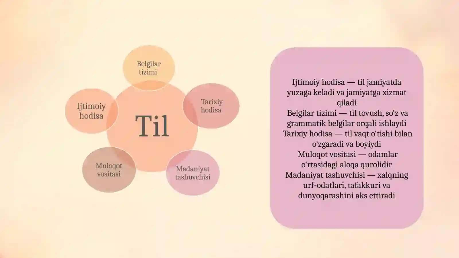 Tillar tipologiyasi 4