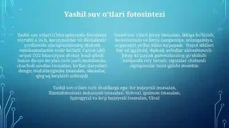 Yashil suv o'tlari 4