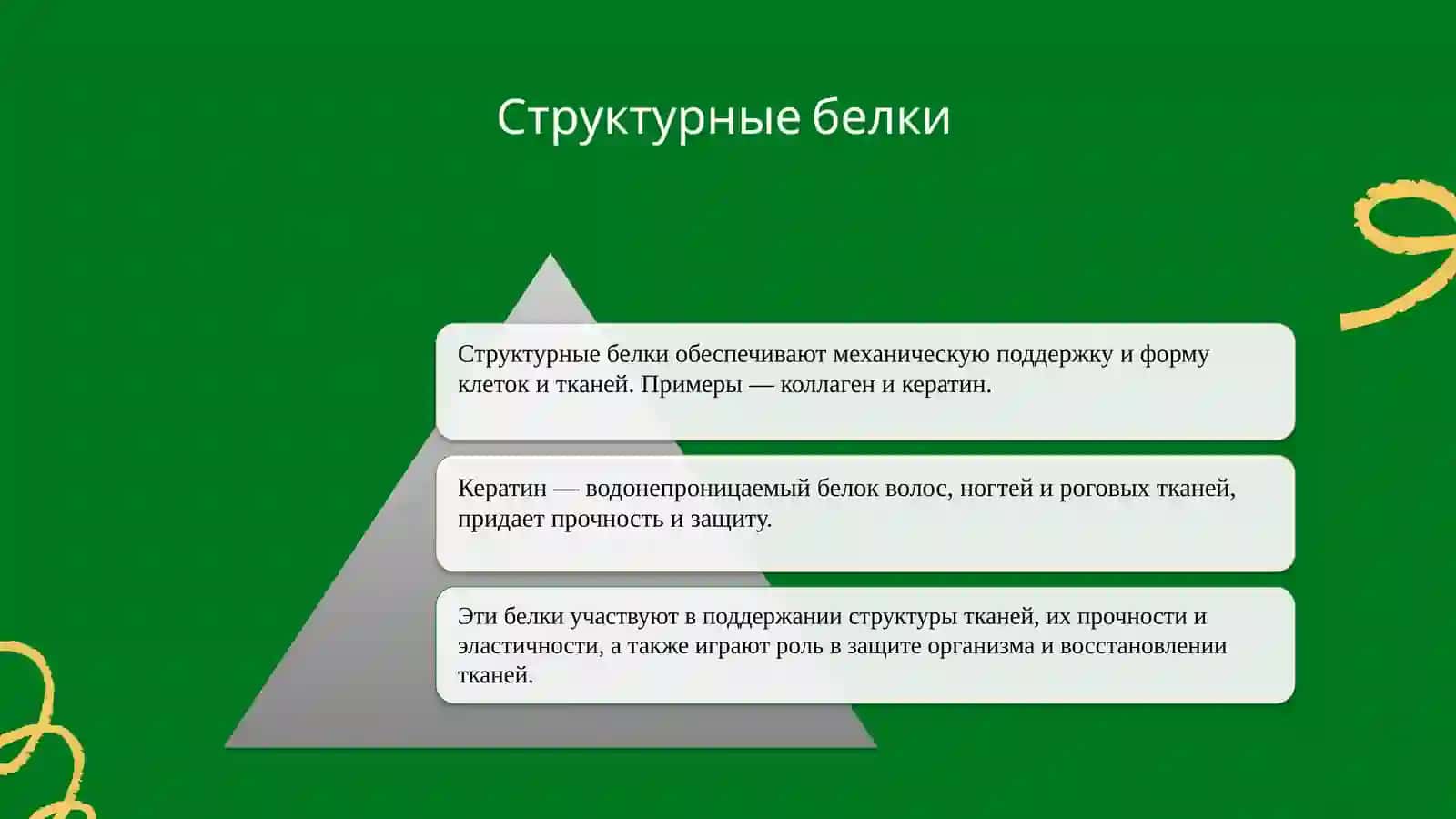 Классификация белков 4