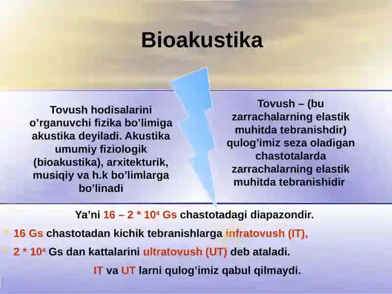 Bioakustika 4