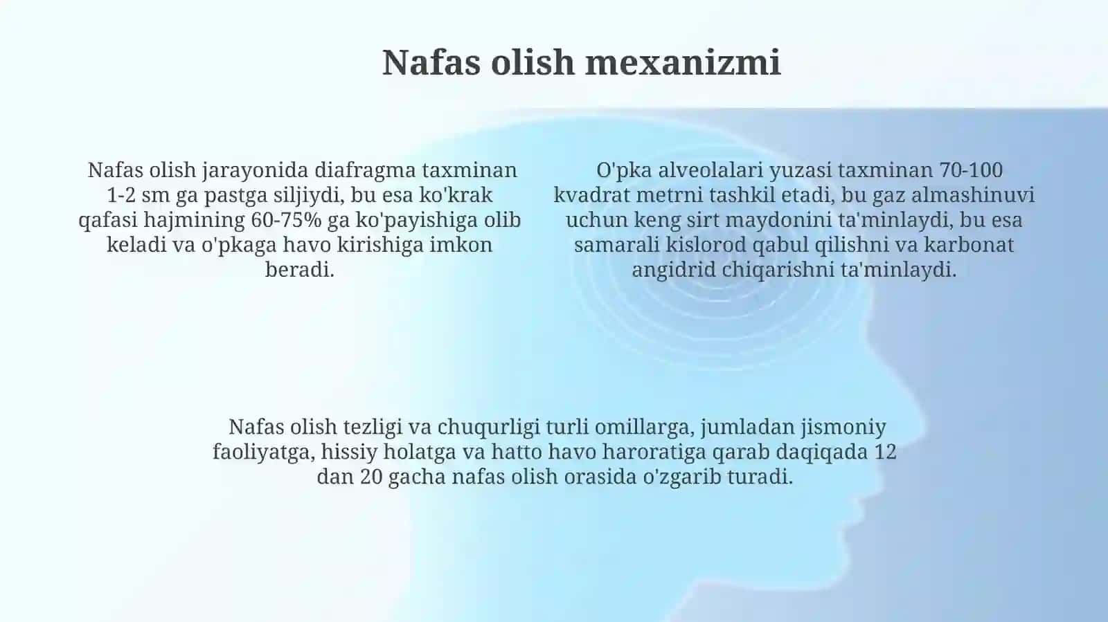 Nafasolishsisetmasi 4