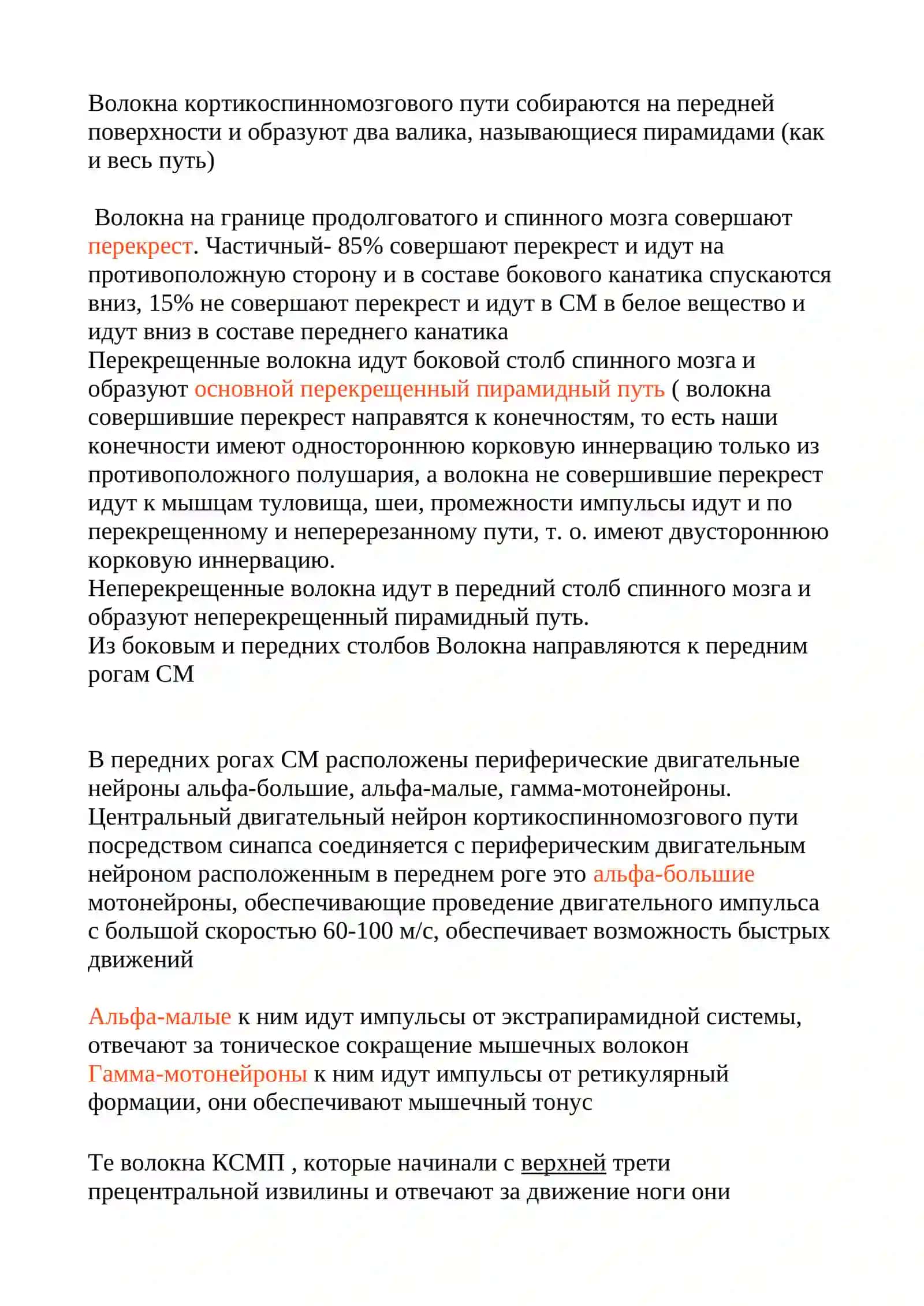 Пирамидный путь 4