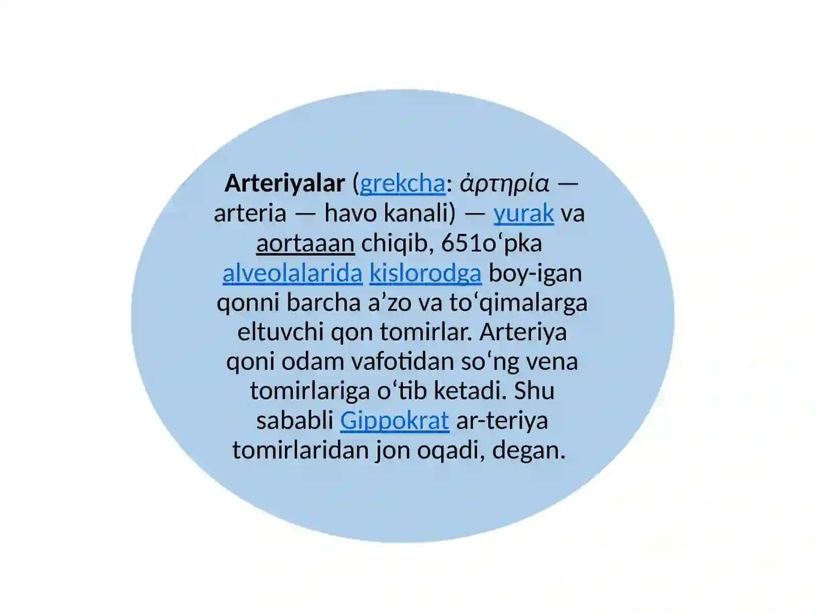 Arteriyalarning tarqalish qonuniyatlari 4