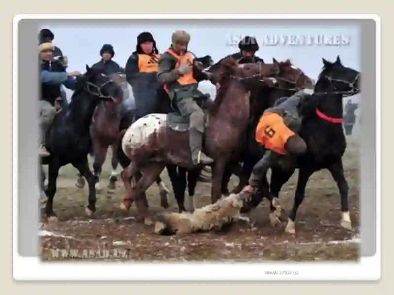 Development of sports in Uzbekistan 4