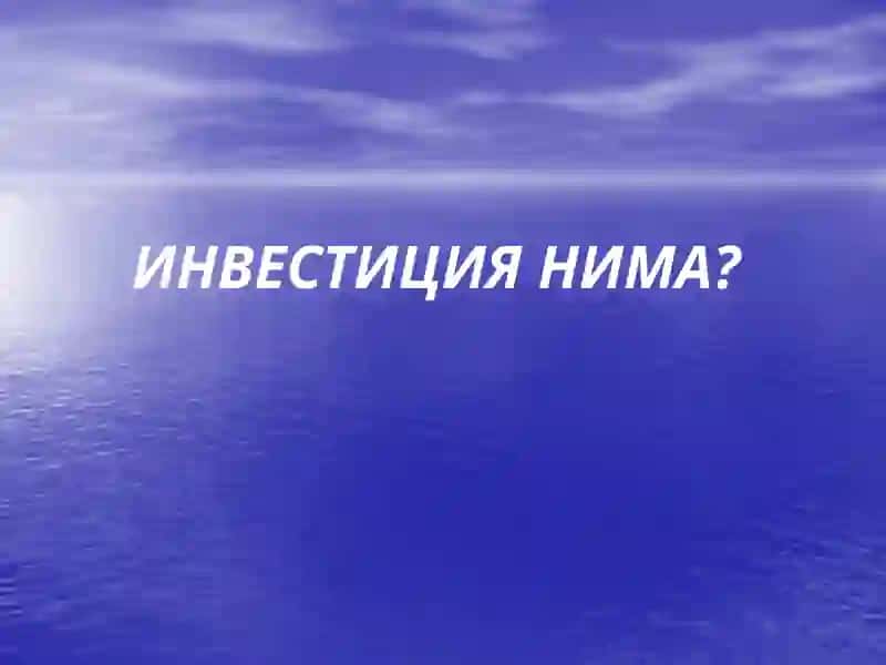INSONGA E’TIBOR VA SIFATLI TA’LIM YILI 4