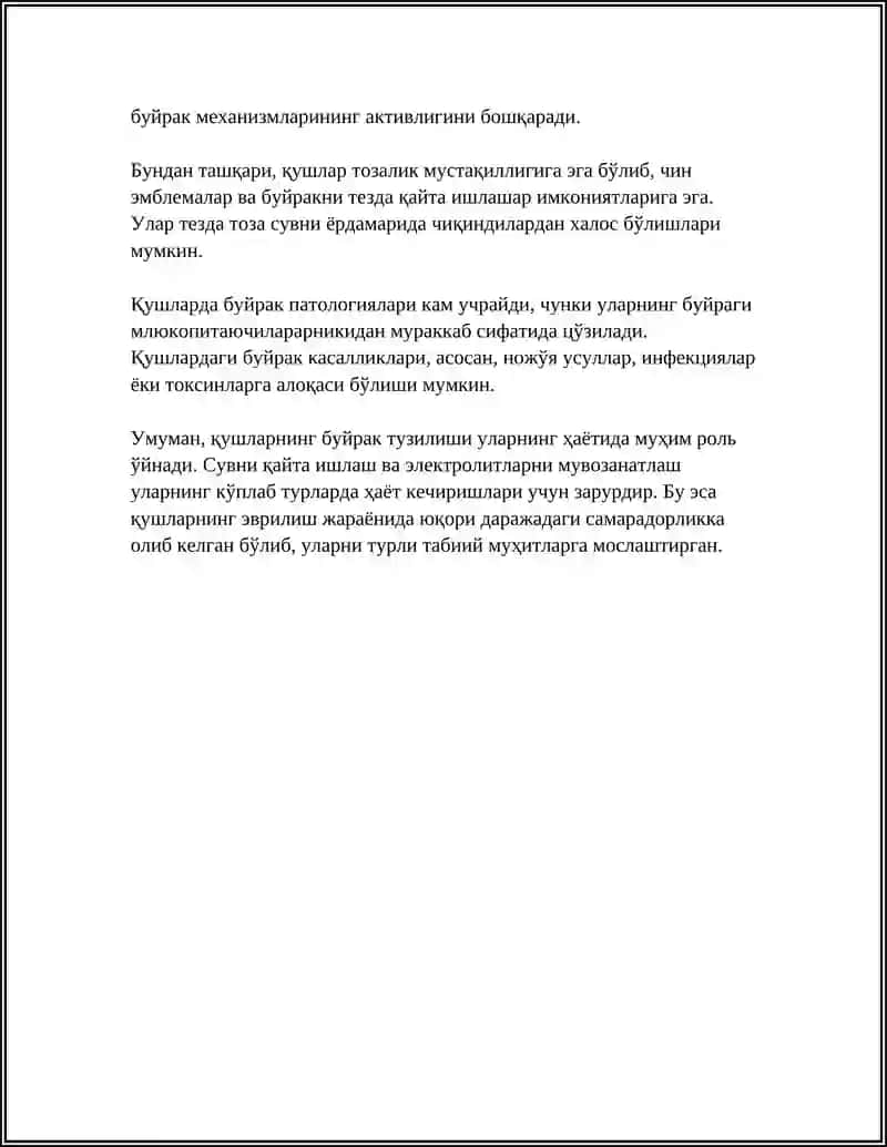 Қушларнинг буйрак тузилиши 4