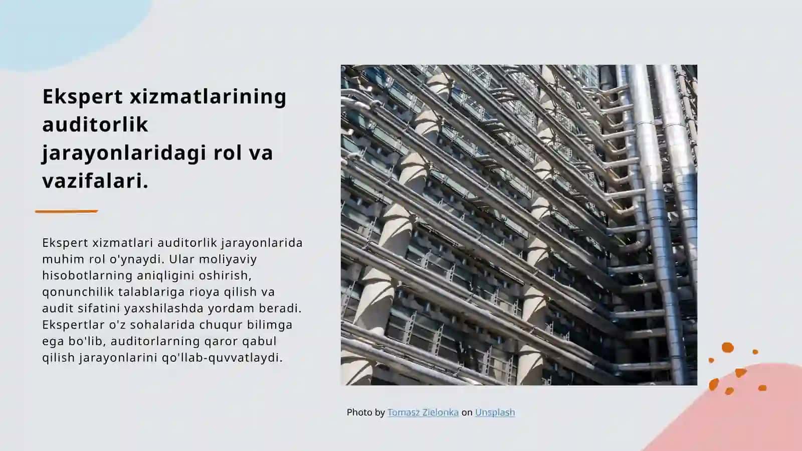 Auditorlik faoliyatida ekspert xizmatlaridan foydalanish 4
