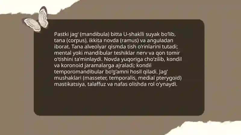 Kalla suyagining yuz qismi suyaklari 4