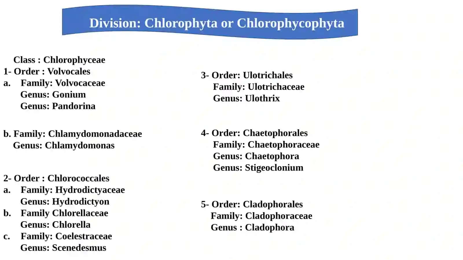 General Characteristics of Chlorophyta 4
