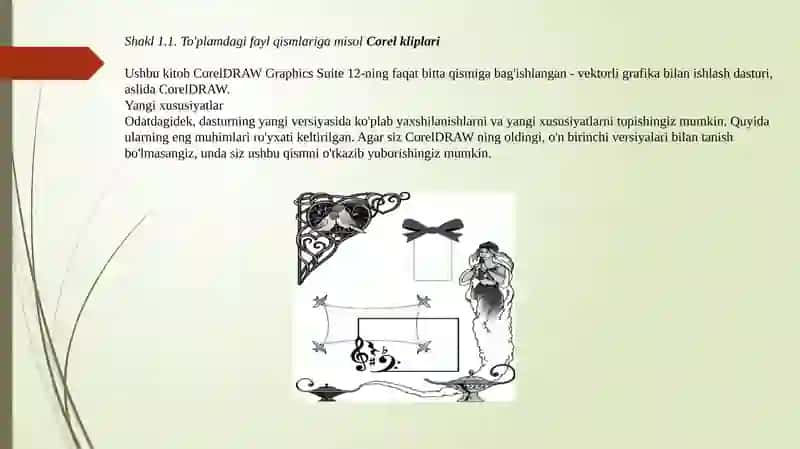 Corel Draw yordamida kompyuter grafikasini yaratish 4
