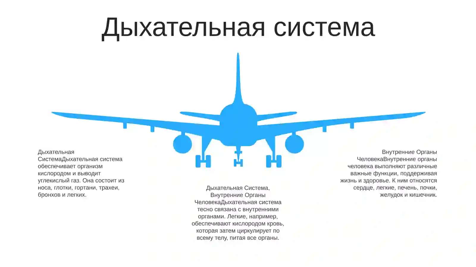 Внутренние органы человека 4